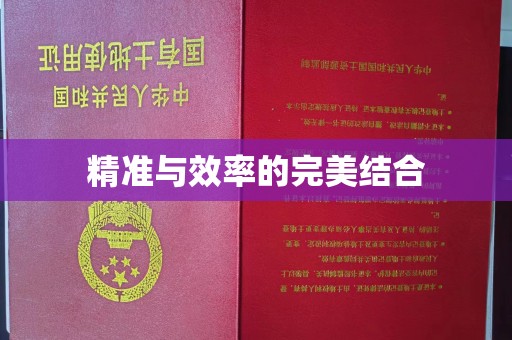 昭觉精准与效率的完美结合